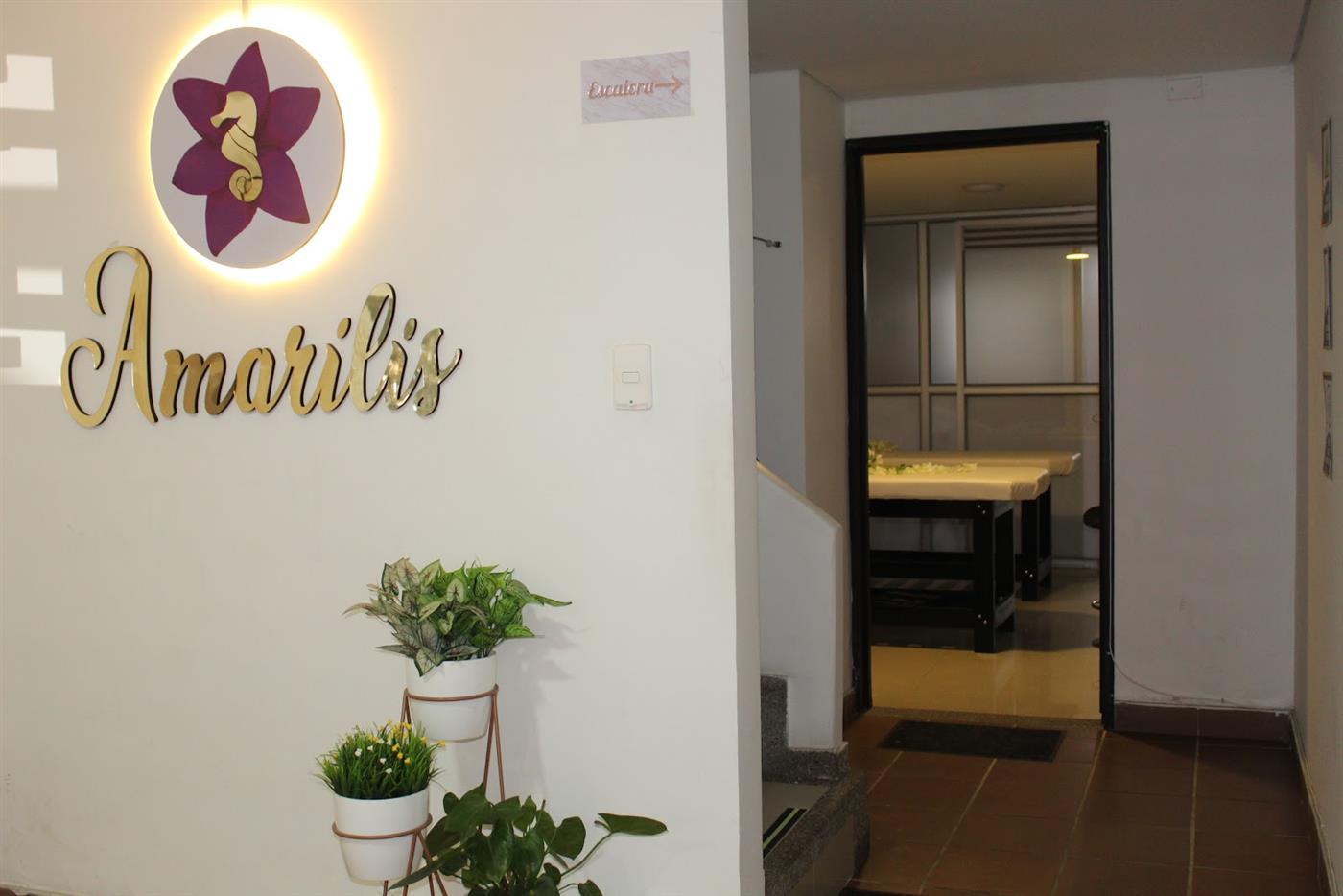 Recepción de Amarilis con el logo dorado en la pared y la cabina doble al fondo